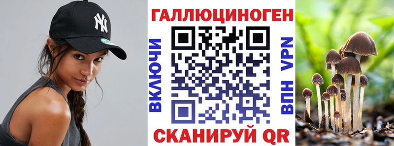 Купить где Туймазы Галлюциногенные грибы Cubensis